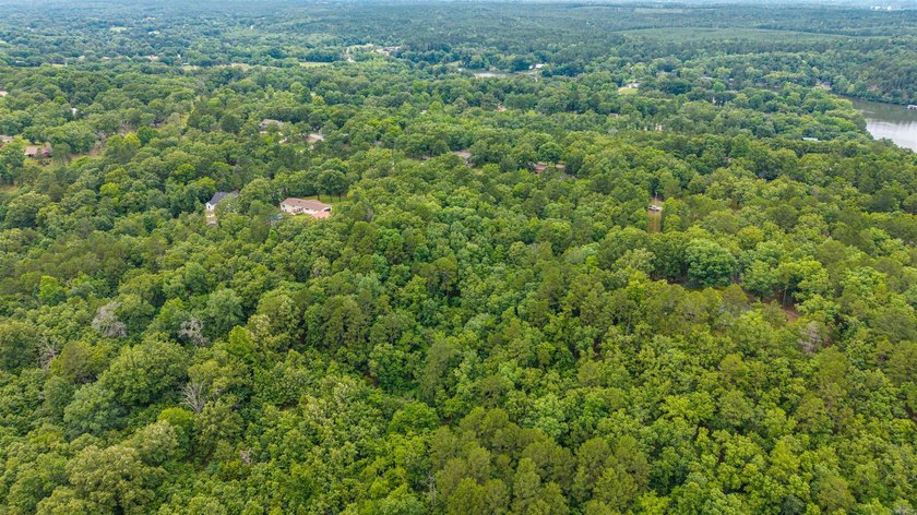 Wooded 5.39+/- acres ready for your dream home in a quiet - photo 17