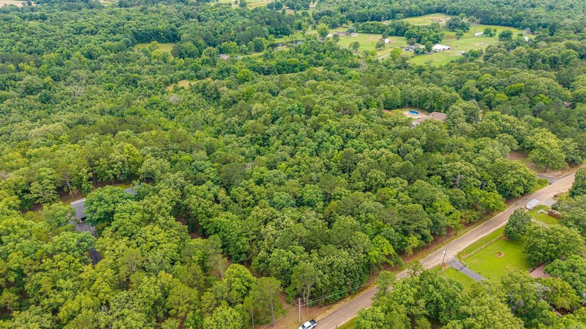 Wooded 5.39+/- acres ready for your dream home in a quiet - photo 19