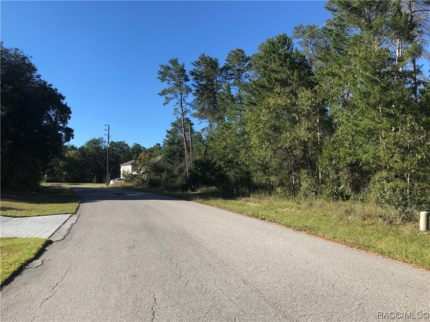Premium home site and pristine location in Oak Village South at - photo 5