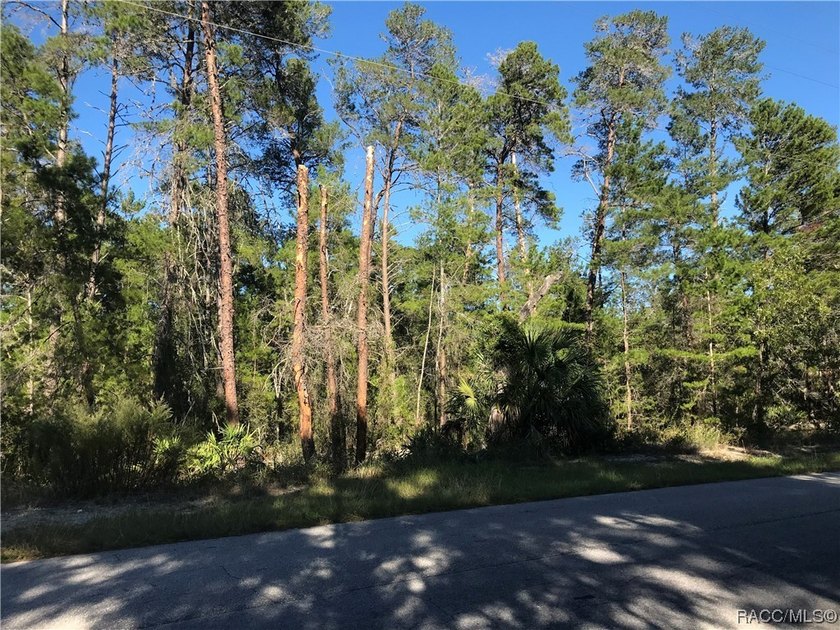 Premium home site and pristine location in Oak Village South at - photo 6