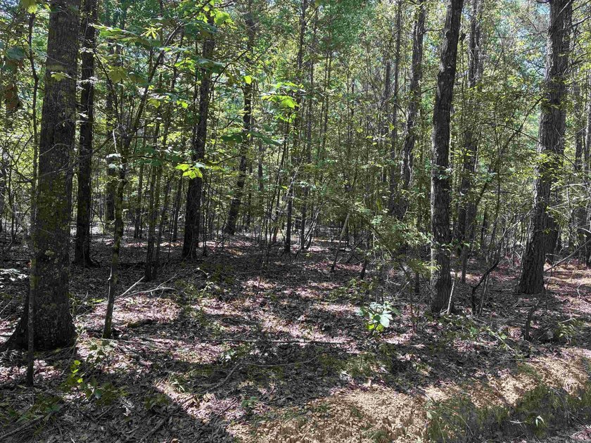 Per the survey, over 2,000 feet of lake frontage - photo 3