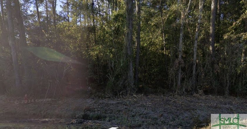Check out this remarkable piece of land in Midway GA. A perfect - photo 3
