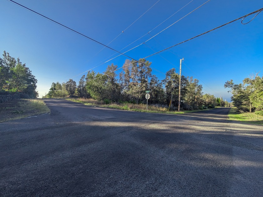 Hawaiian Ocean View Estates - Wooded wide lot in lower HOVE with - photo 3
