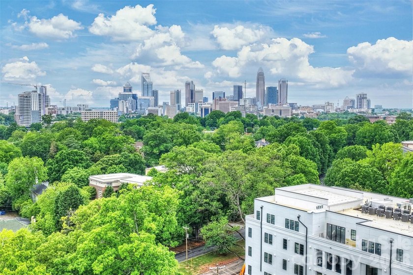 Discover unparalleled luxury and secure, seamless living at 409 - photo 47