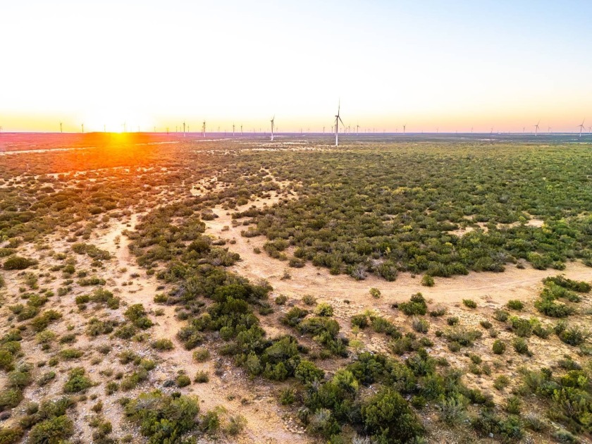 Introducing the Sendero Crossing Ranch, a 657 +/- acre hunting - photo 12