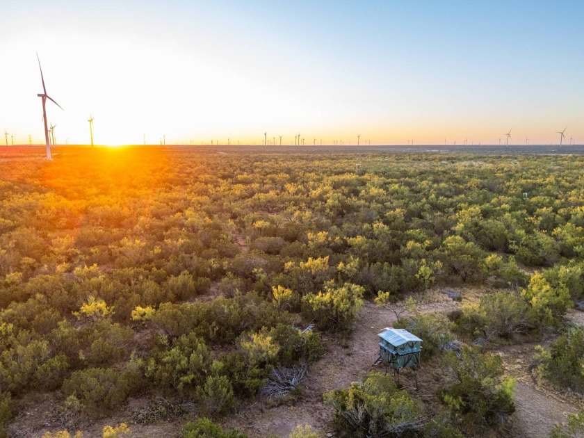 Introducing the Sendero Crossing Ranch, a 657 +/- acre hunting - photo 13