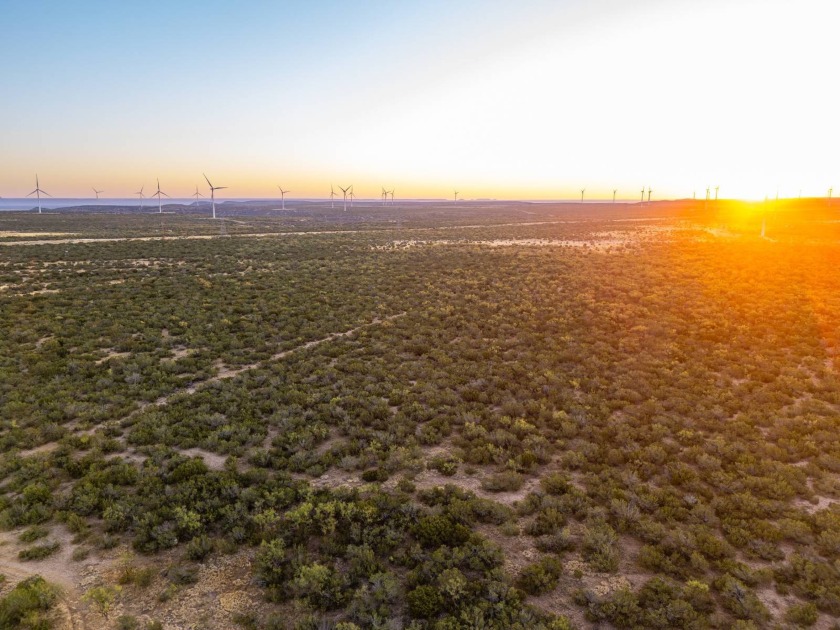 Introducing the Sendero Crossing Ranch, a 657 +/- acre hunting - photo 22