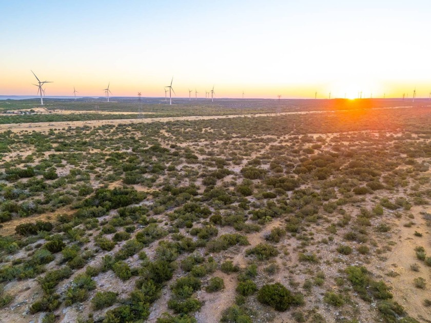 Introducing the Sendero Crossing Ranch, a 657 +/- acre hunting - photo 25