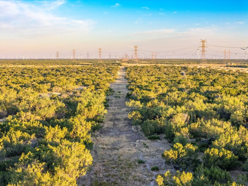 Introducing the Sendero Crossing Ranch, a 657 +/- acre hunting - photo 29