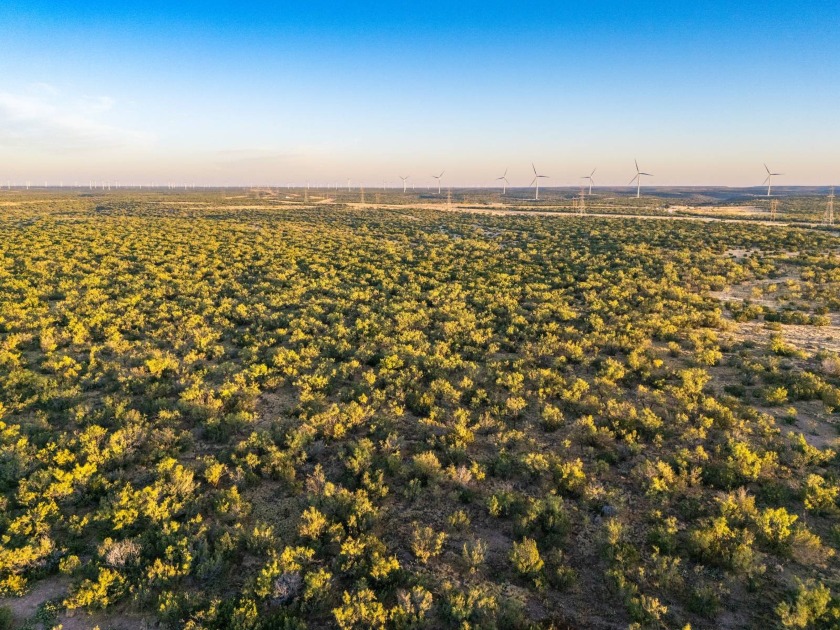 Introducing the Sendero Crossing Ranch, a 657 +/- acre hunting - photo 30