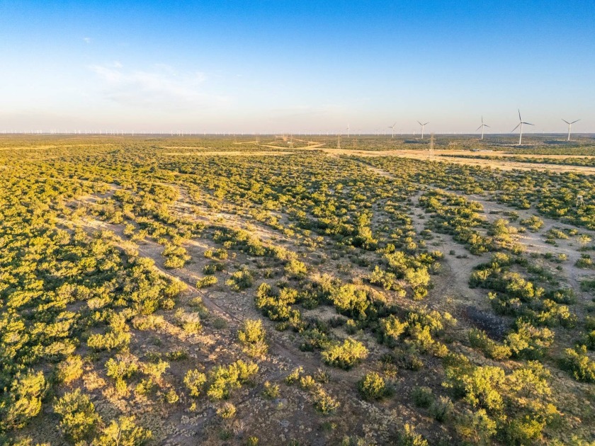 Introducing the Sendero Crossing Ranch, a 657 +/- acre hunting - photo 35