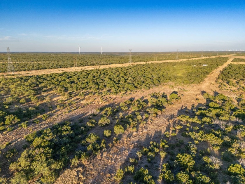 Introducing the Sendero Crossing Ranch, a 657 +/- acre hunting - photo 38