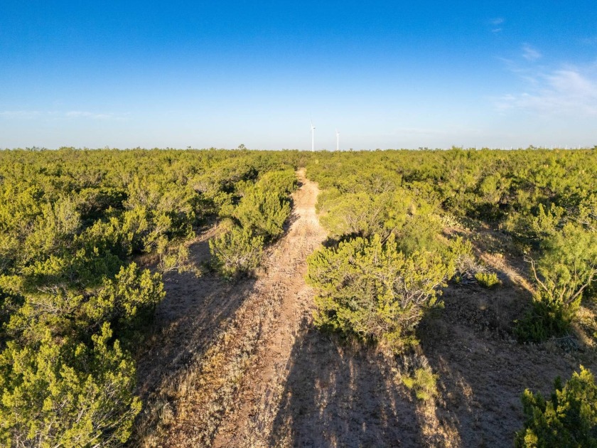 Introducing the Sendero Crossing Ranch, a 657 +/- acre hunting - photo 40