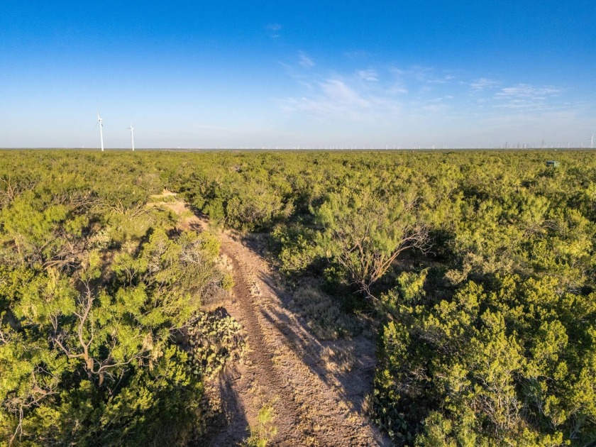 Introducing the Sendero Crossing Ranch, a 657 +/- acre hunting - photo 41
