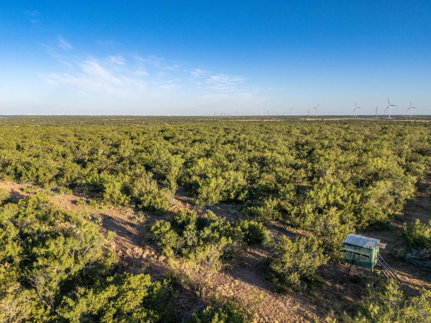 Introducing the Sendero Crossing Ranch, a 657 +/- acre hunting - photo 42