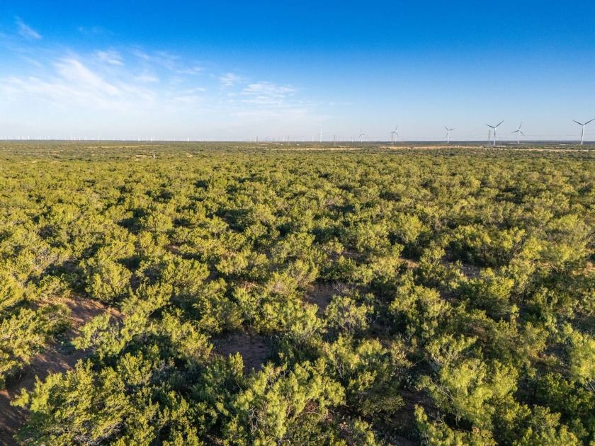 Introducing the Sendero Crossing Ranch, a 657 +/- acre hunting - photo 44