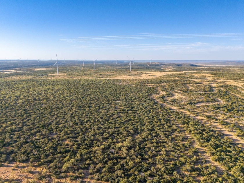 Introducing the Sendero Crossing Ranch, a 657 +/- acre hunting - photo 46