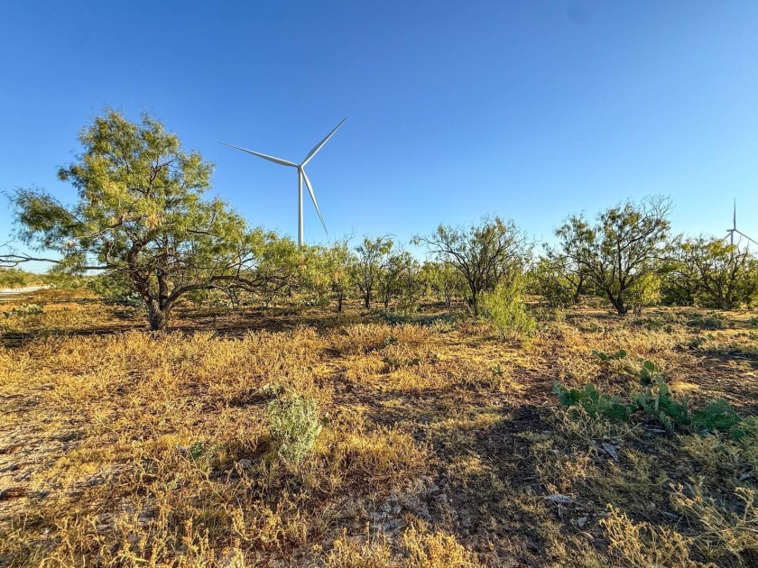 Introducing the Sendero Crossing Ranch, a 657 +/- acre hunting - photo 48