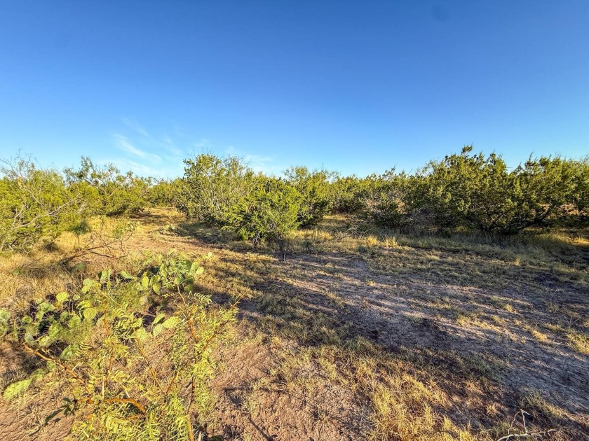 Introducing the Sendero Crossing Ranch, a 657 +/- acre hunting - photo 52