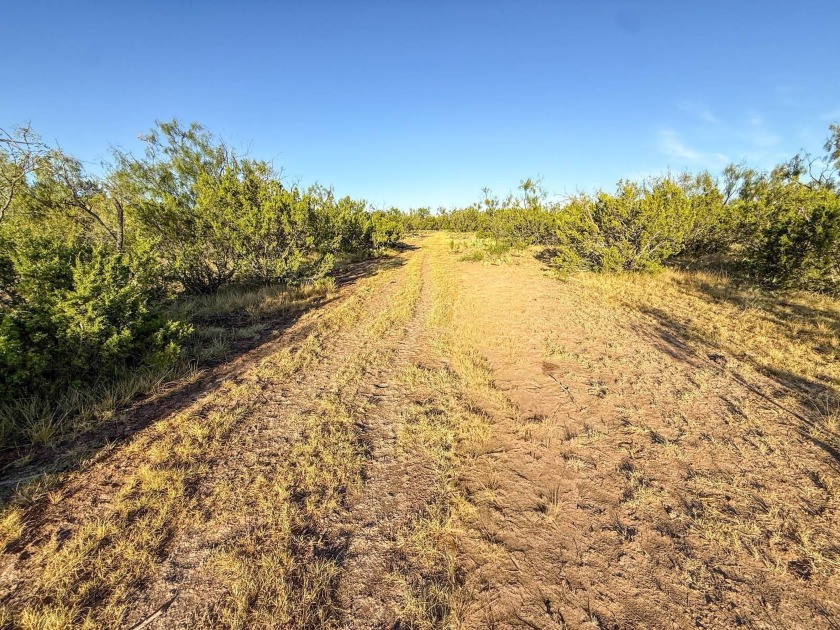 Introducing the Sendero Crossing Ranch, a 657 +/- acre hunting - photo 53