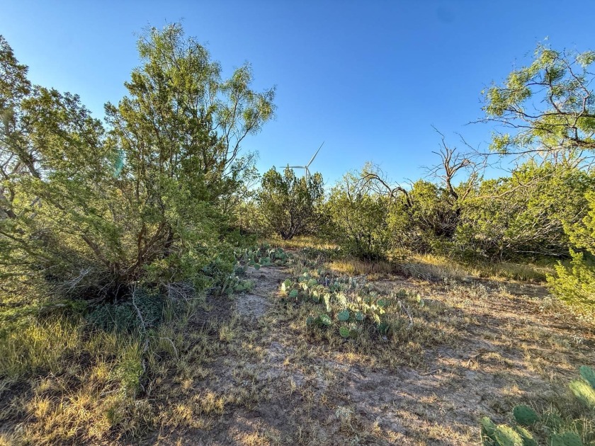 Introducing the Sendero Crossing Ranch, a 657 +/- acre hunting - photo 57