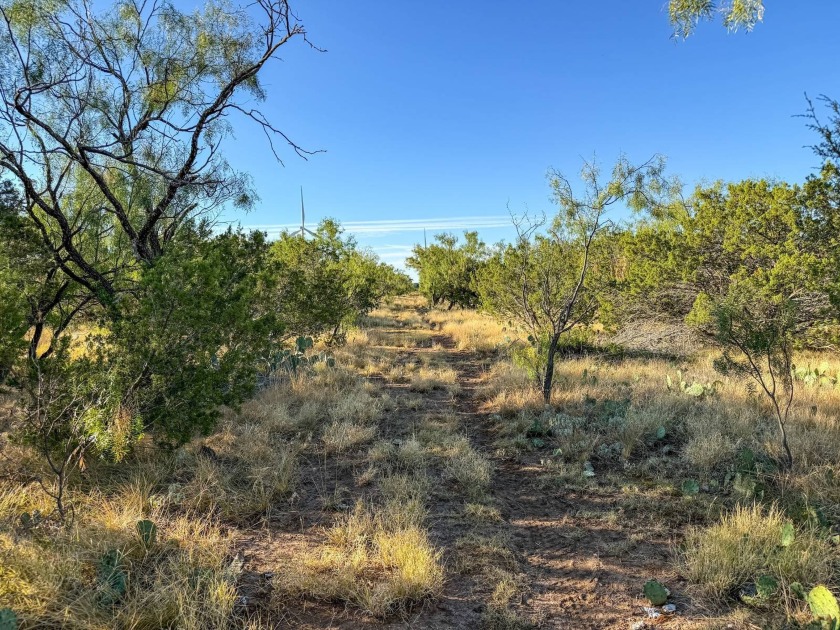Introducing the Sendero Crossing Ranch, a 657 +/- acre hunting - photo 60