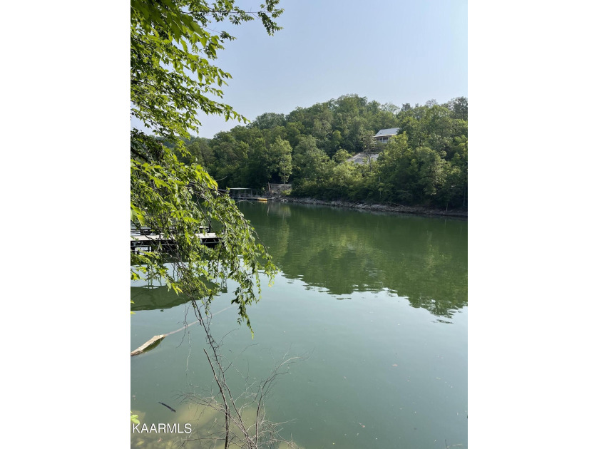 Perry Smith Lane, Caryville, TN 37714, 3846665