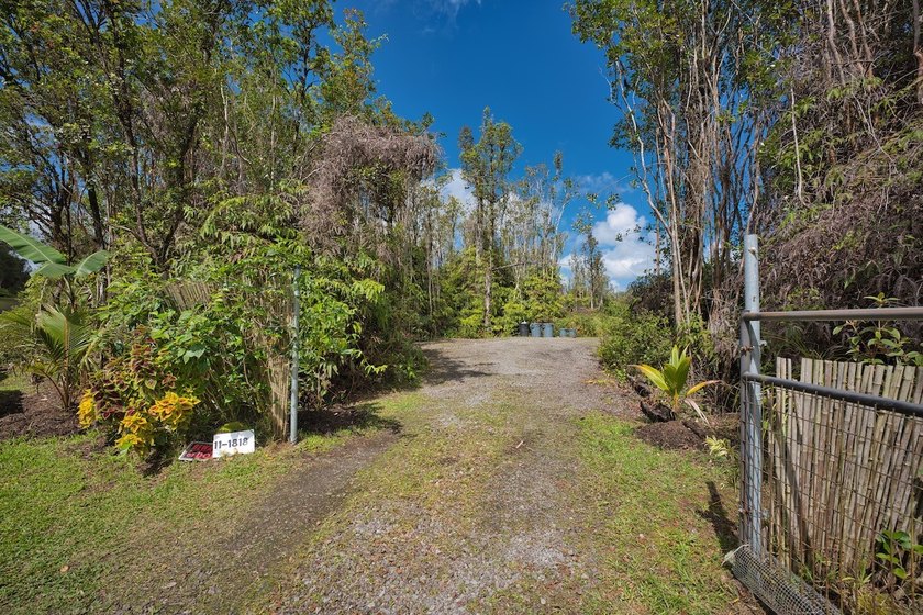 Discover a truly special off-grid homestead retreat in the cool - photo 3