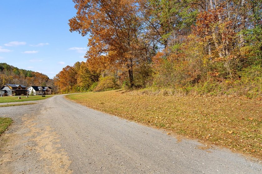 Enjoy the quiet beauty of Western North Carolina from this - photo 16