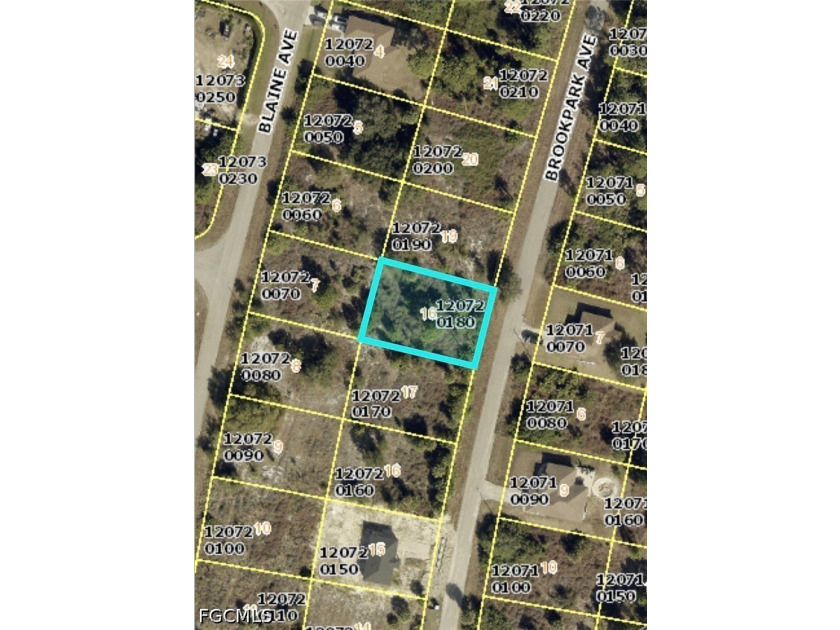 Quarter acre lot located in a fast growing part of Fort Myers - photo 2