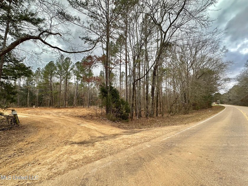 +/- 79.6 acres just south of the Rankin/Simpson line in Simpson - photo 6