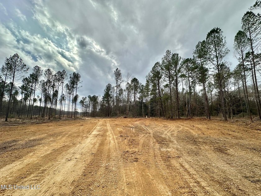 +/- 79.6 acres just south of the Rankin/Simpson line in Simpson - photo 7