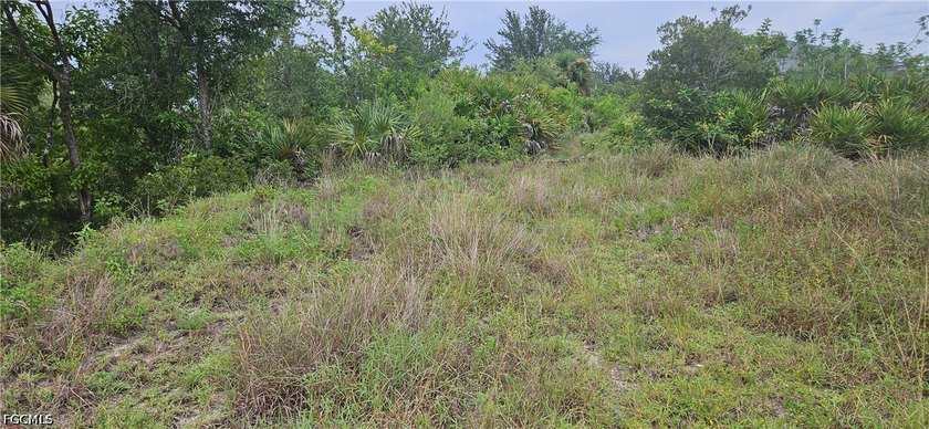 Rare opportunity to own a beautiful cleared vacant lot with city - photo 3