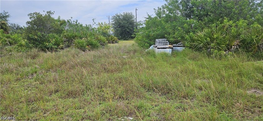 Rare opportunity to own a beautiful cleared vacant lot with city - photo 4