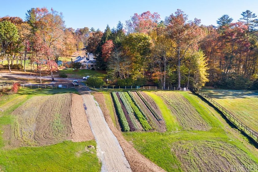 This 1.20+/- acre lot offers views of Goatsknob, and Shortoff - photo 13