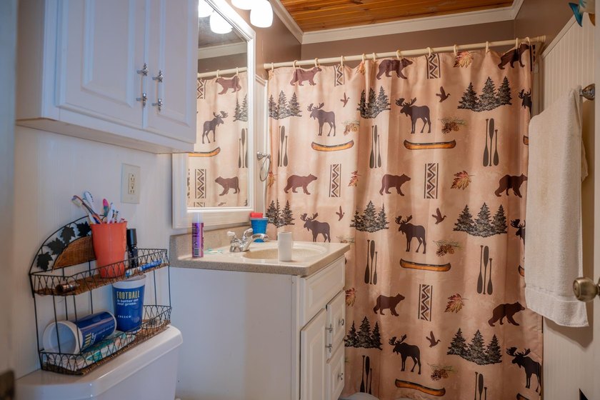 Escape to this charming Lake Front cabin, nestled on 1.7 acres - photo 9