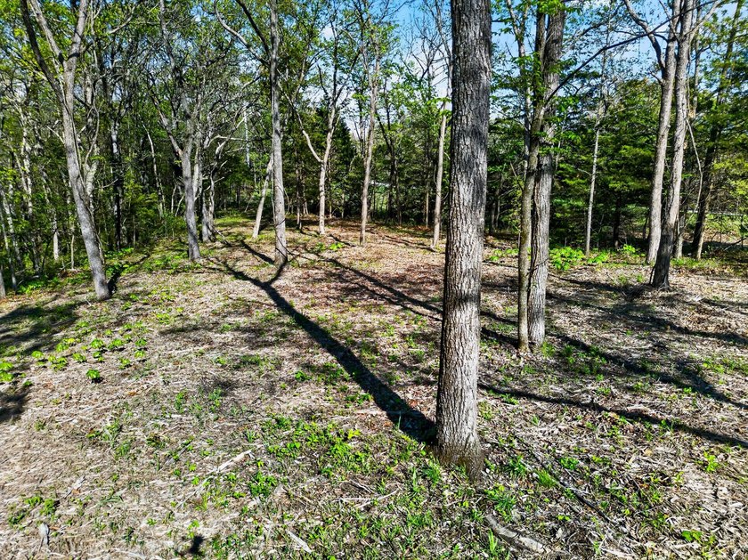 5 Acres Right Off Hwy MM | High Drive Frontage | Build-Ready | - photo 11