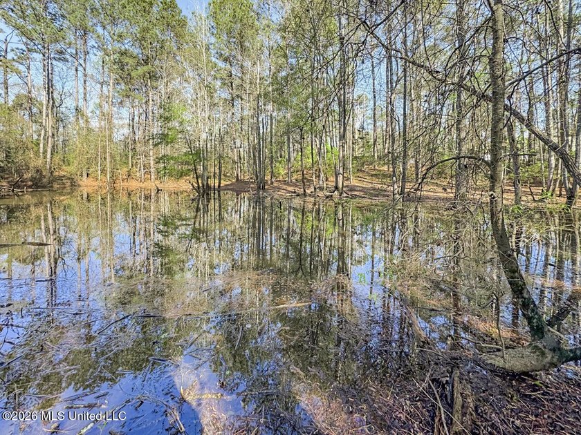 Located in a quiet country setting just minutes from town, 1560 - photo 26