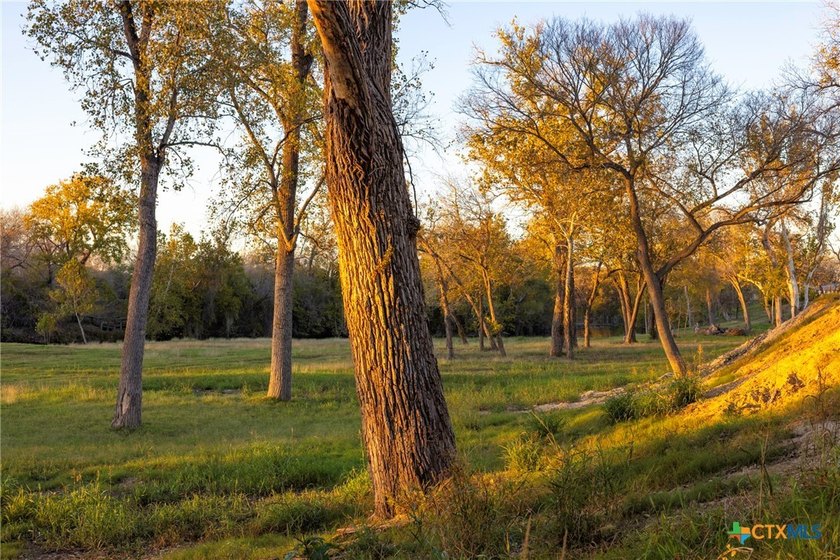 NEW Land Tracts featuring Riverfront and Rolling Countryside in - photo 13