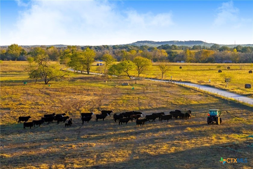 NEW Land Tracts featuring Riverfront and Rolling Countryside in - photo 16