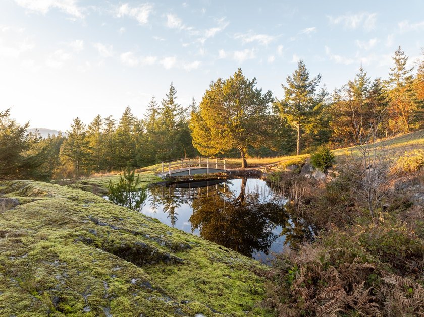Sensational private parkland estate above Secret Cove in - photo 34