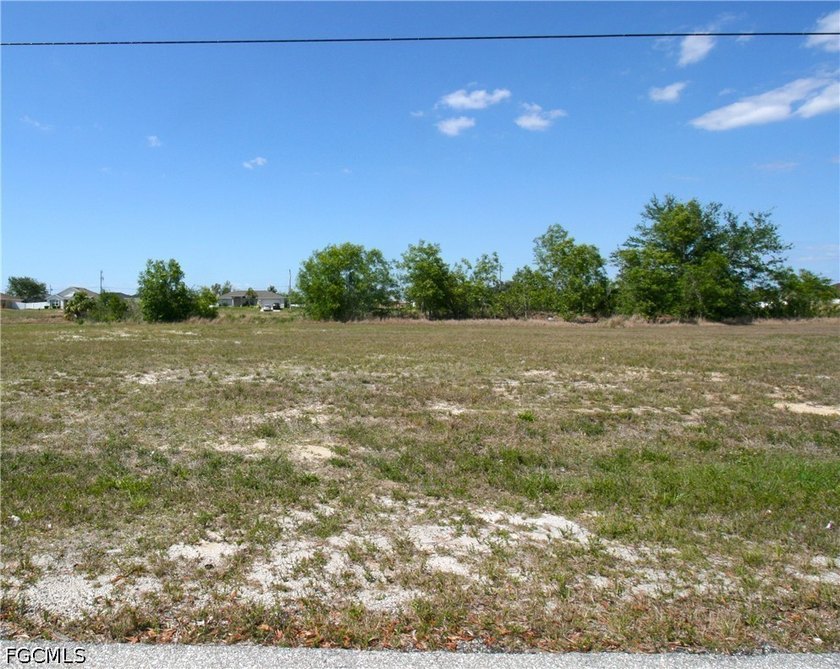 Build your Dream Home on this Prime Freshwater Lot in one of - photo 4