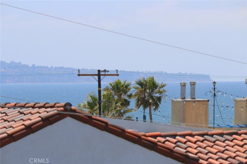 Now vacant and move-in ready, the property can be optionally - photo 7