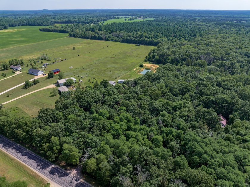 Escape to your own private Northwoods retreat! This 10.2-acre - photo 5
