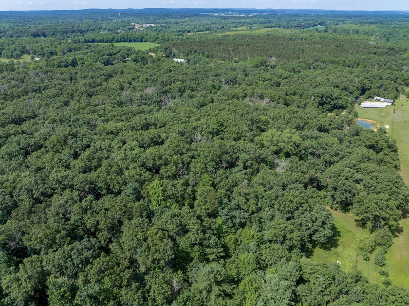 Escape to your own private Northwoods retreat! This 10.2-acre - photo 7