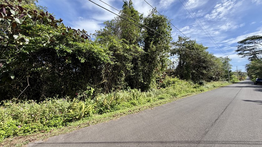 Discover the ideal setting for your island home in desirable - photo 3