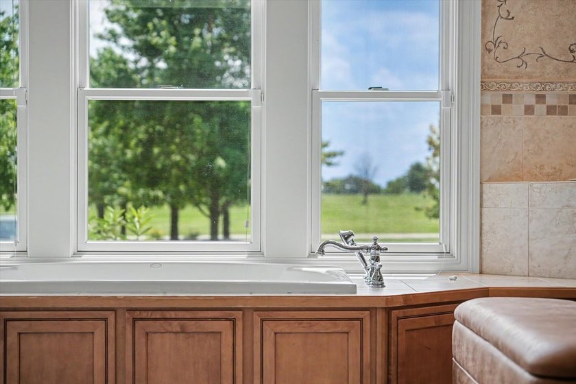 Luxury, Scale, and Energy Independence Meet in This Decatur, IL - photo 24