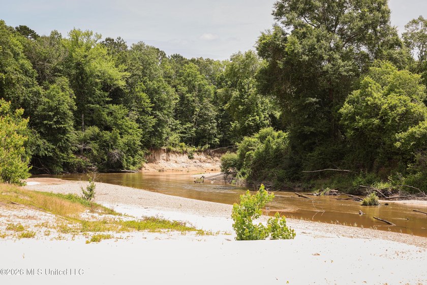 Welcome to 108+- acres in Summit, MS, located on the beautiful - photo 8
