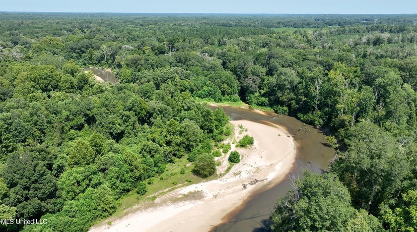 Welcome to 108+- acres in Summit, MS, located on the beautiful - photo 10