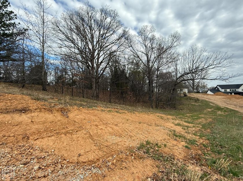 One of the last opportunities to secure a homesite in this - photo 4